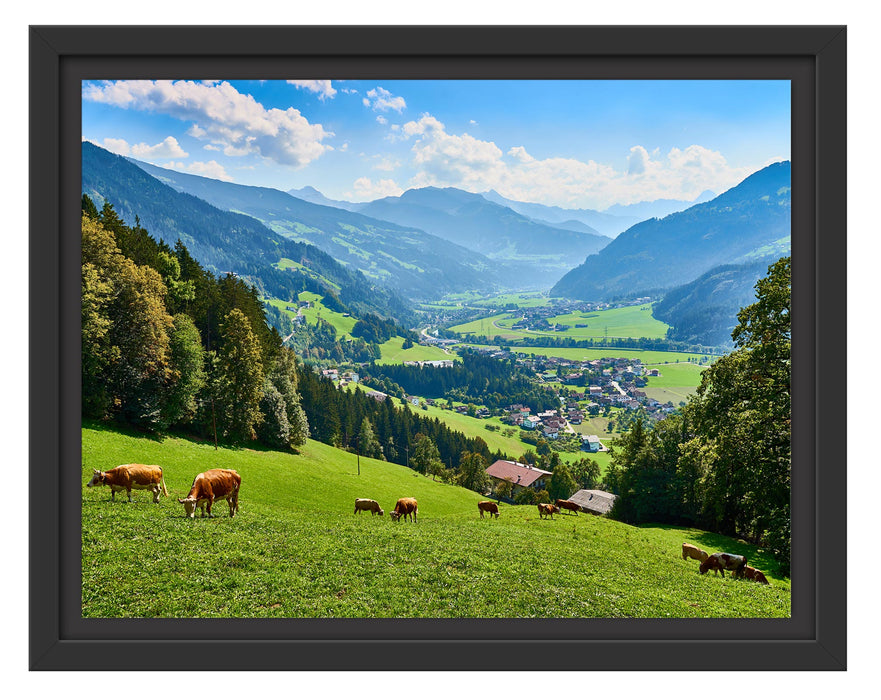 Pixxprint Kuhherde auf Zillertaler Almwiese, im Schwebe-Effekt Bilderrahmen