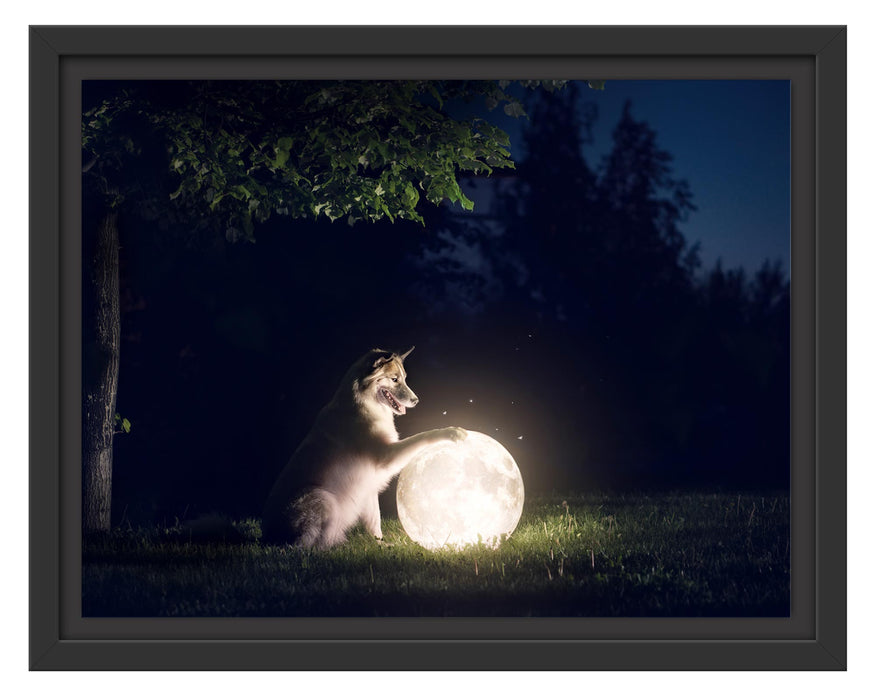 Pixxprint Hund mit leuchtendem Mond bei Nacht, im Schwebe-Effekt Bilderrahmen