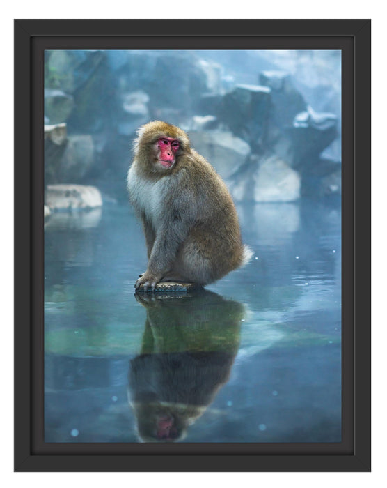 Pixxprint Schneeaffe auf Scholle in heißer Quelle, im Schwebe-Effekt Bilderrahmen