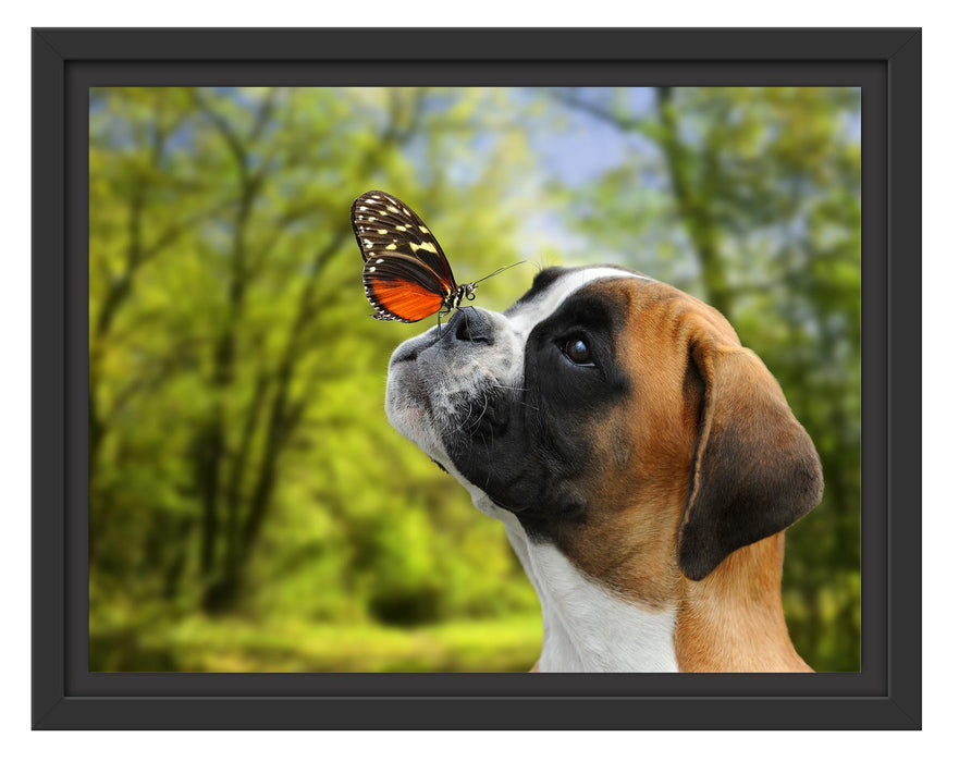 Pixxprint Welpe mit Schmetterling auf der Nase, im Schwebe-Effekt Bilderrahmen