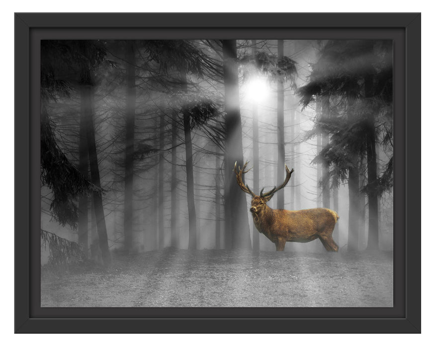 Pixxprint Hirsch auf Waldlichtung Sonnenstrahlen B&W Detail, im Schwebe-Effekt Bilderrahmen