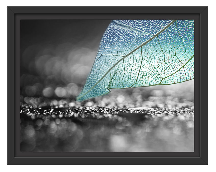 Pixxprint Nahaufnahme weißes Blattgerüst im Regen B&W Detail, im Schwebe-Effekt Bilderrahmen