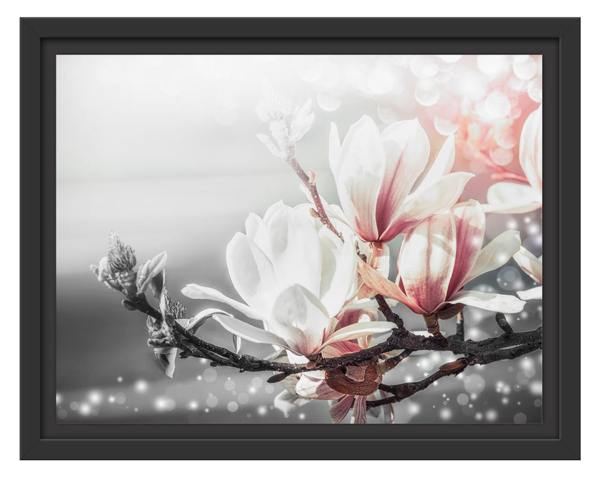 Pixxprint Wunderschöne Magnolien Nahaufnahme B&W Detail, im Schwebe-Effekt Bilderrahmen