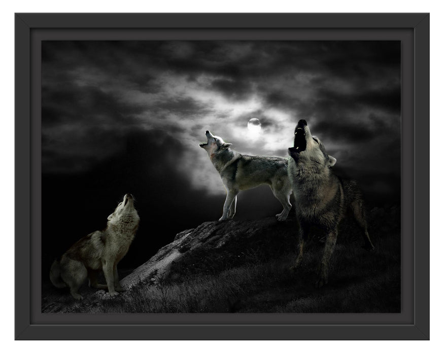 Pixxprint Heulende Wölfe bei Mondschein B&W Detail, im Schwebe-Effekt Bilderrahmen