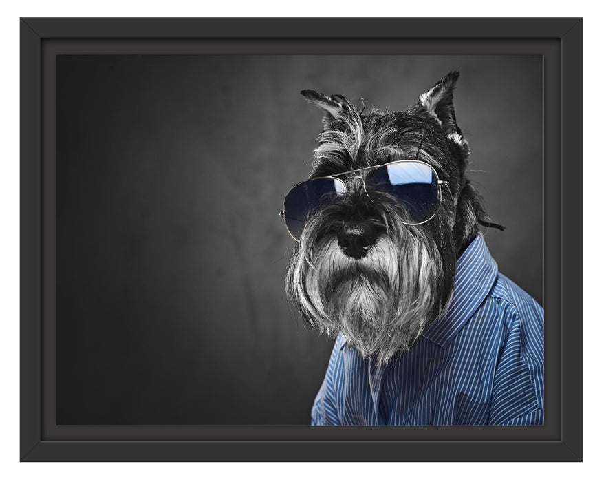 Pixxprint Lustiger Hund mit Hemd und Sonnenbrille B&W Detail, im Schwebe-Effekt Bilderrahmen