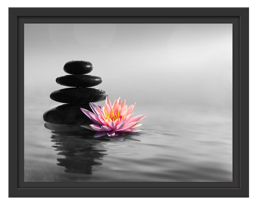 Pixxprint Zensteine mit Seerose im Sonnenuntergang B&W Detail, im Schwebe-Effekt Bilderrahmen