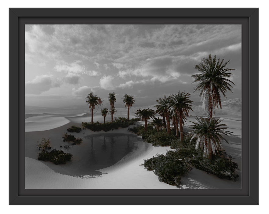 Pixxprint Oase in der Wüste bei Sonnenuntergang B&W Detail, im Schwebe-Effekt Bilderrahmen