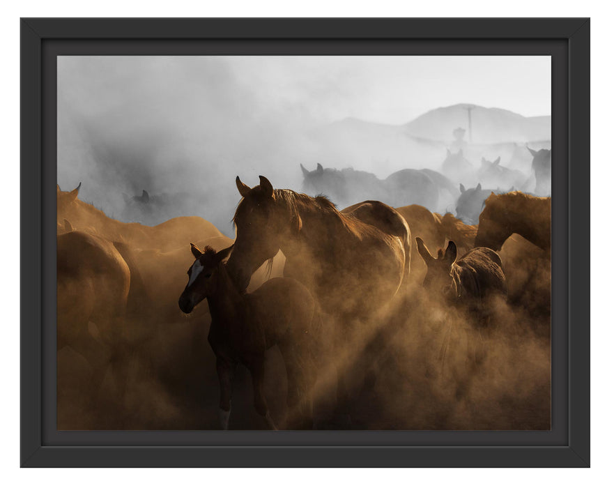 Pixxprint Pferdeherde im Staub bei Sonnenuntergang B&W Detail, im Schwebe-Effekt Bilderrahmen