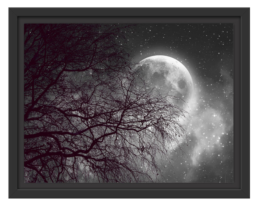 Pixxprint Winterbaum vor Vollmondnacht B&W Detail, im Schwebe-Effekt Bilderrahmen