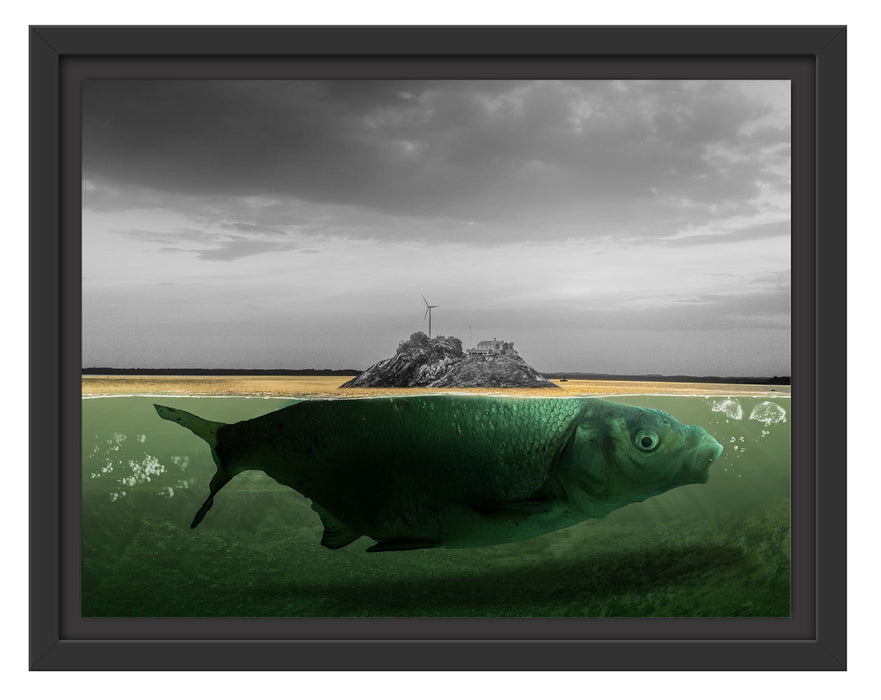 Pixxprint Abstrakter Fisch mit Felsrücken B&W Detail, im Schwebe-Effekt Bilderrahmen