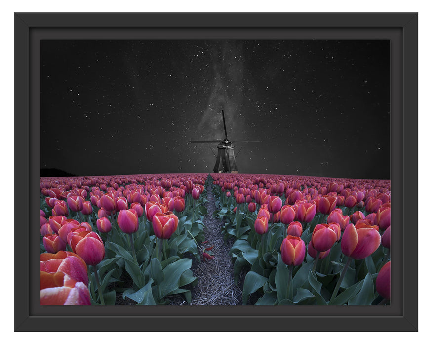 Pixxprint Tulpenfeld mit Windmühle bei Nacht B&W Detail, im Schwebe-Effekt Bilderrahmen