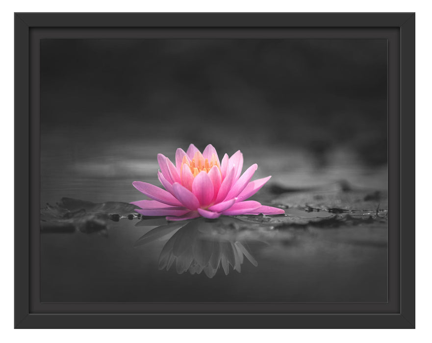 Pixxprint Leuchtende Lotusblüte auf grauer Pfütze B&W Detail, im Schwebe-Effekt Bilderrahmen