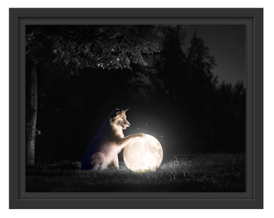 Pixxprint Hund mit leuchtendem Mond bei Nacht B&W Detail, im Schwebe-Effekt Bilderrahmen