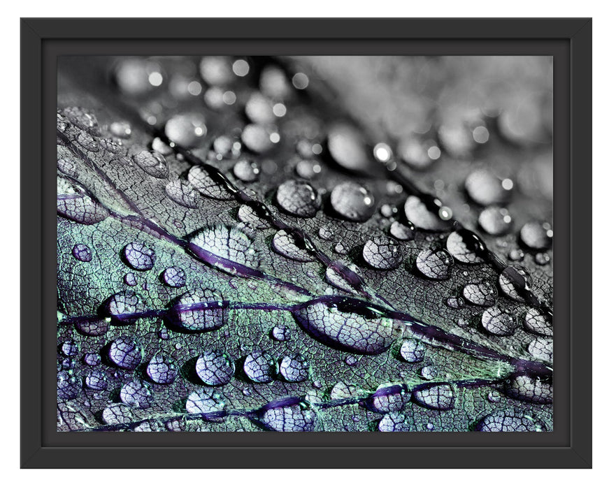 Pixxprint Nahaufnahme Wassertropfen auf Blatt B&W Detail, im Schwebe-Effekt Bilderrahmen