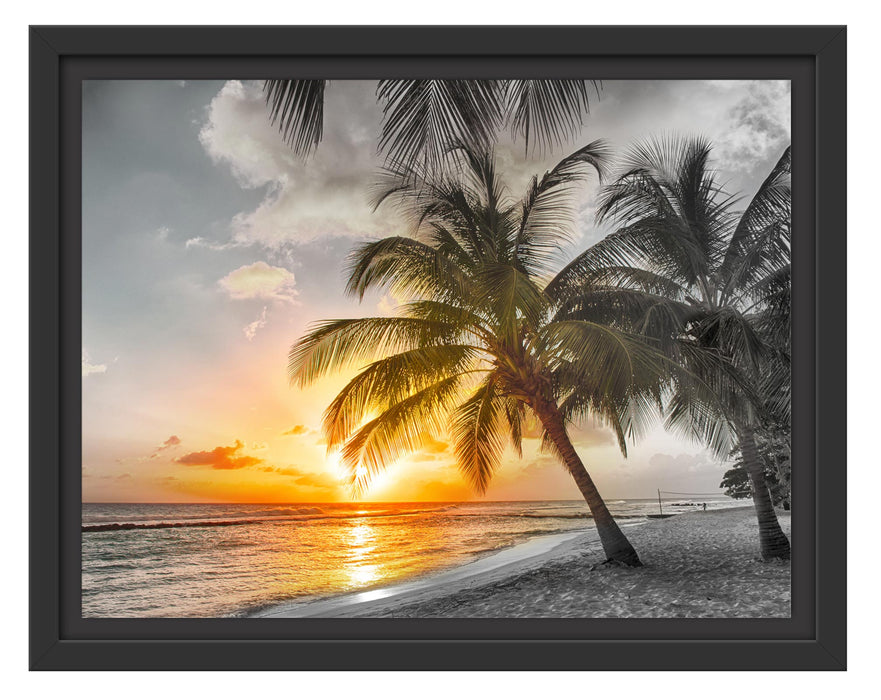 Pixxprint Palmen im Sonnenuntergang auf Barbados B&W Detail, im Schwebe-Effekt Bilderrahmen