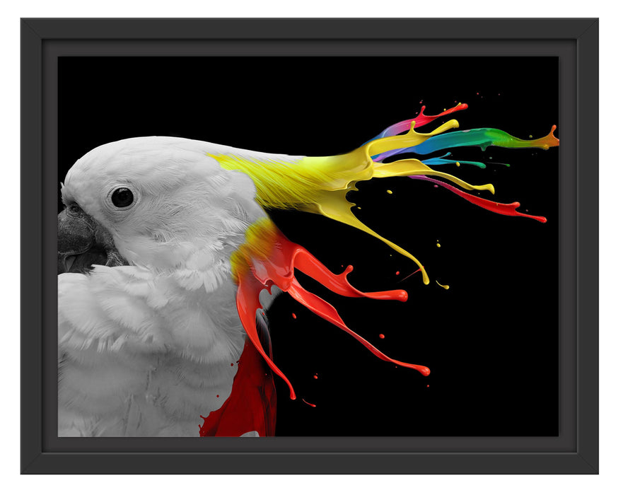 Pixxprint Papagei mit buntem Kamm B&W Detail, im Schwebe-Effekt Bilderrahmen