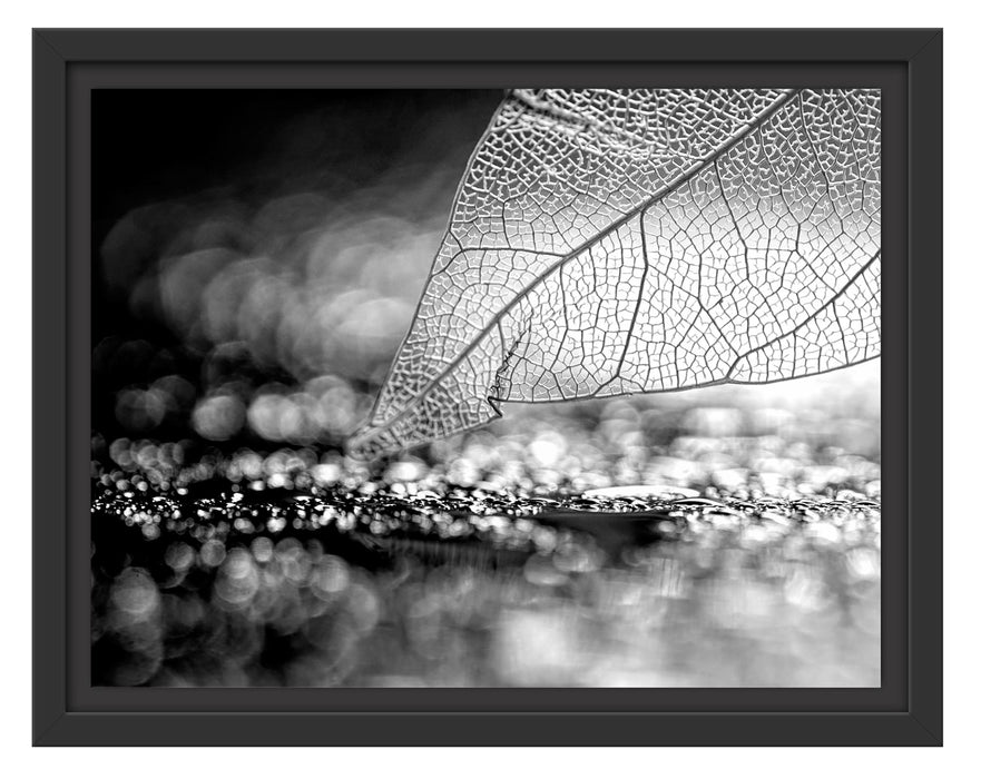 Pixxprint Nahaufnahme weißes Blattgerüst im Regen, Monochrome, im Schwebe-Effekt Bilderrahmen