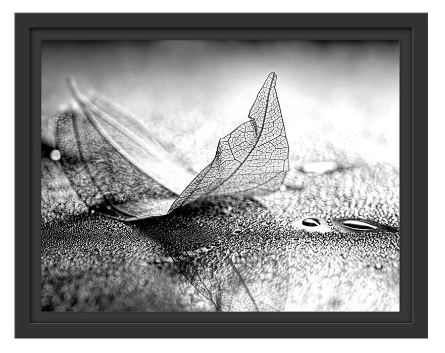 Pixxprint Nahaufnahme blaues Blattgerüst im Regen, Monochrome, im Schwebe-Effekt Bilderrahmen