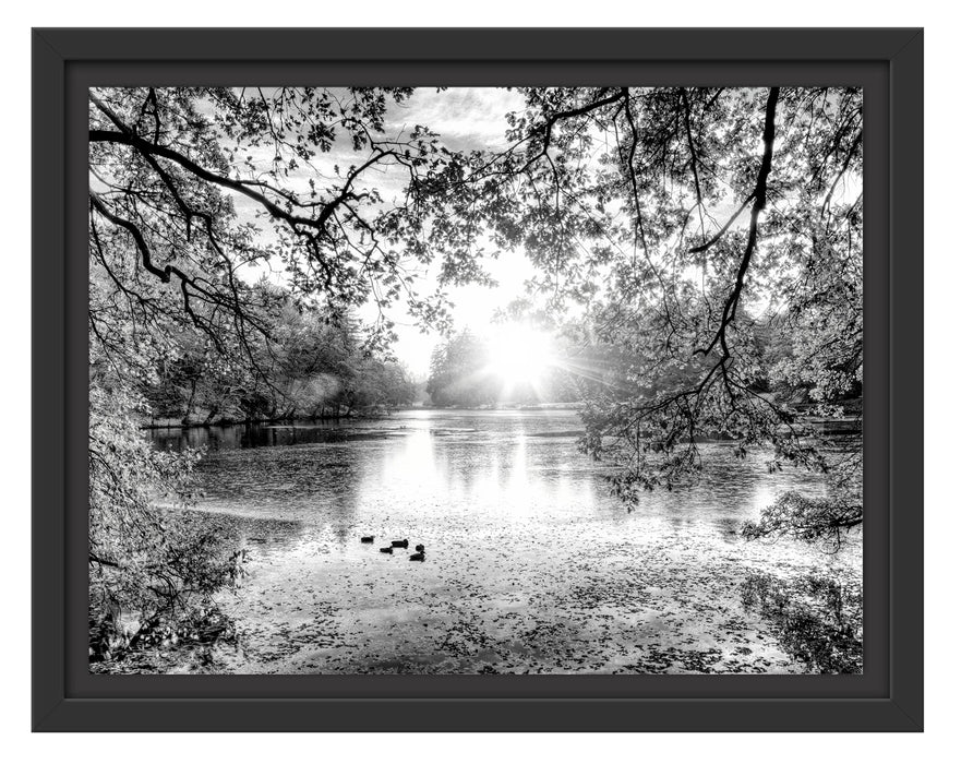 Pixxprint Herbstbäume um See bei Sonnenuntergang, Monochrome, im Schwebe-Effekt Bilderrahmen