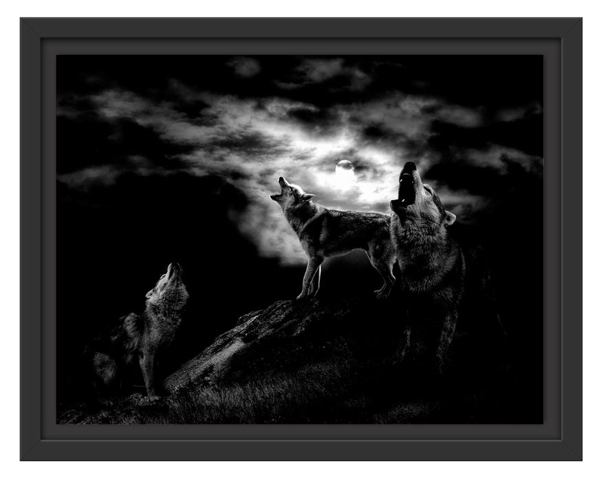 Pixxprint Heulende Wölfe bei Mondschein, Monochrome, im Schwebe-Effekt Bilderrahmen