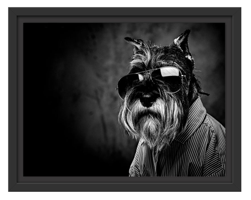 Pixxprint Lustiger Hund mit Hemd und Sonnenbrille, Monochrome, im Schwebe-Effekt Bilderrahmen