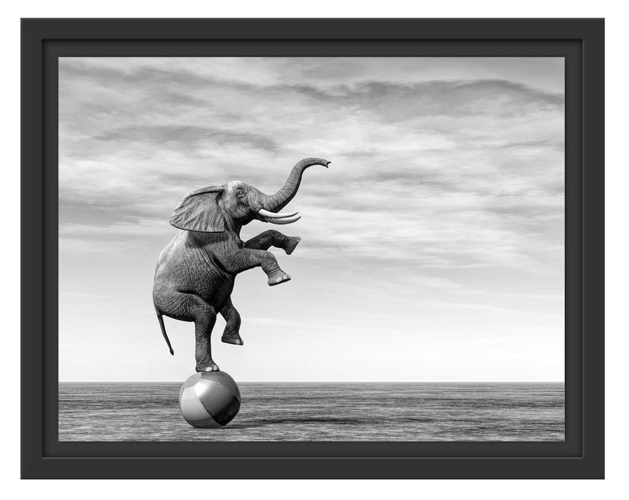 Pixxprint Elefant in der Wüste balanciert auf Ball, Monochrome, im Schwebe-Effekt Bilderrahmen
