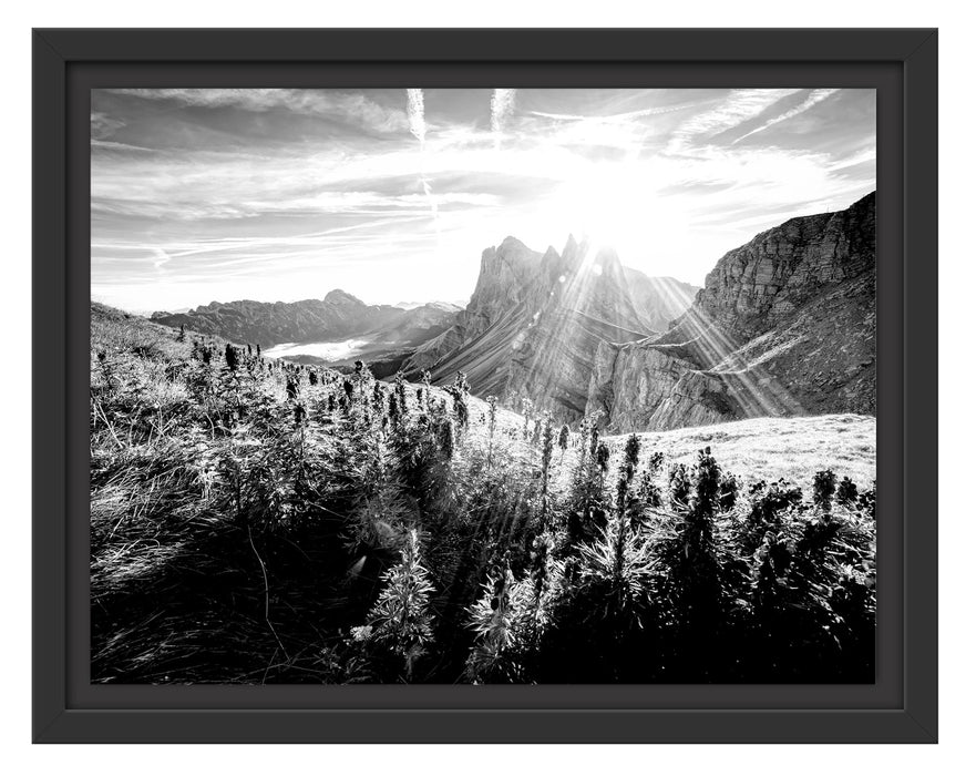 Pixxprint Bergwiese im Puez-Geisler Naturpark, Monochrome, im Schwebe-Effekt Bilderrahmen
