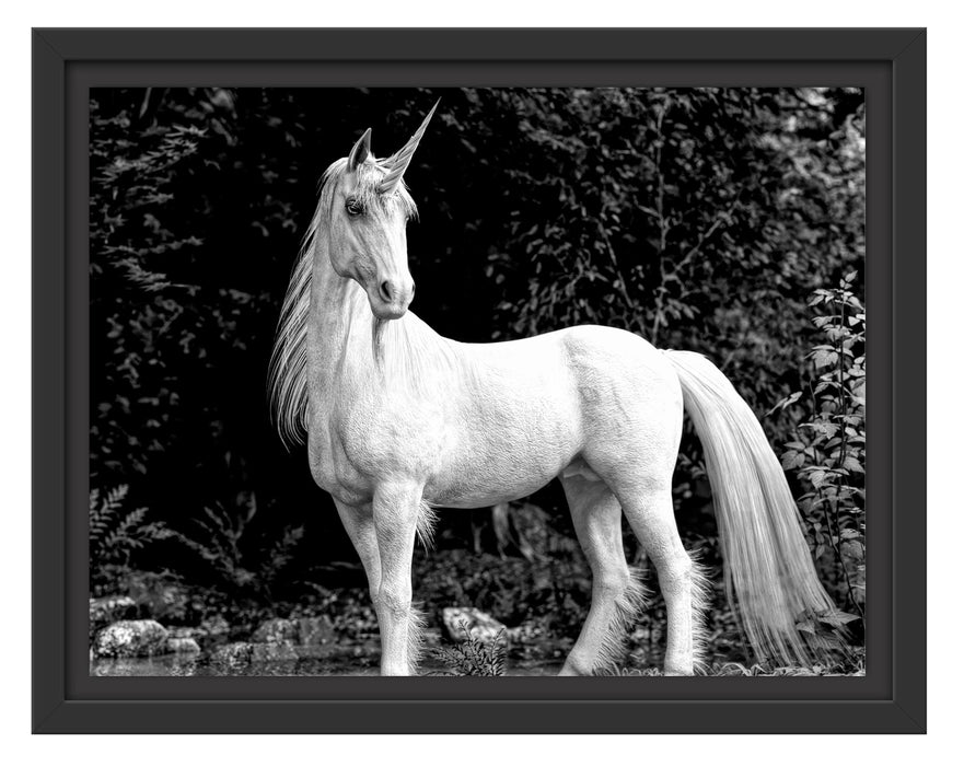 Pixxprint Majestätisches Einhorn in Waldsee, Monochrome, im Schwebe-Effekt Bilderrahmen