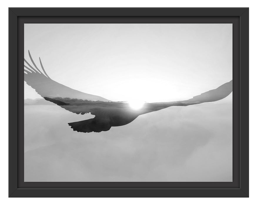 Pixxprint Verblassender Adler im Sonnenuntergang, Monochrome, im Schwebe-Effekt Bilderrahmen