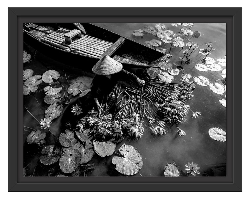Pixxprint Wasserlilienernte mit Boot in Vietnam, Monochrome, im Schwebe-Effekt Bilderrahmen