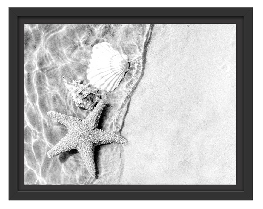 Pixxprint Seestern und Muscheln am Strand, Monochrome, im Schwebe-Effekt Bilderrahmen
