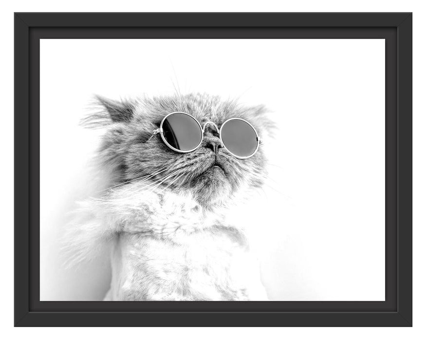 Pixxprint Coole Katze mit runder Sonnenbrille, Monochrome, im Schwebe-Effekt Bilderrahmen