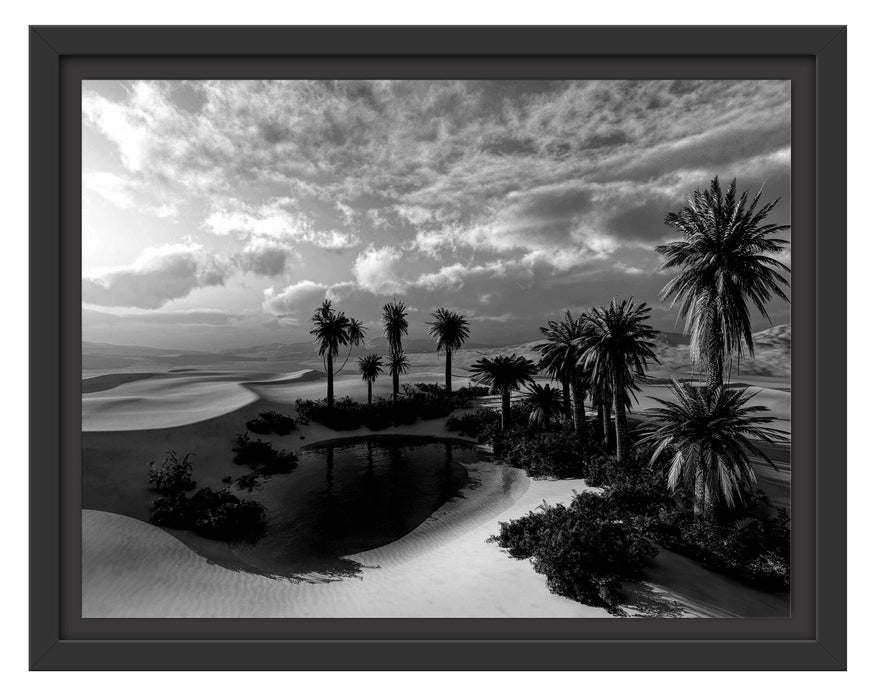 Pixxprint Oase in der Wüste bei Sonnenuntergang, Monochrome, im Schwebe-Effekt Bilderrahmen