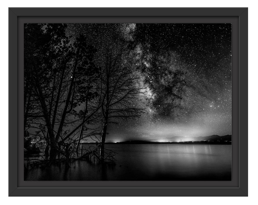 Pixxprint Bäume am See in sternenklarer Nacht, Monochrome, im Schwebe-Effekt Bilderrahmen