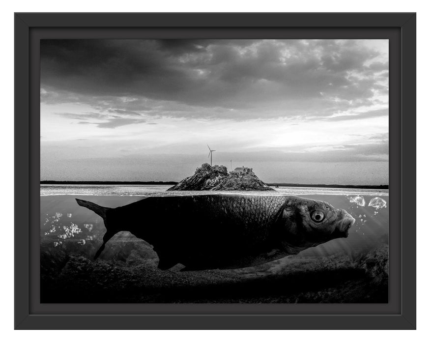 Pixxprint Abstrakter Fisch mit Felsrücken, Monochrome, im Schwebe-Effekt Bilderrahmen