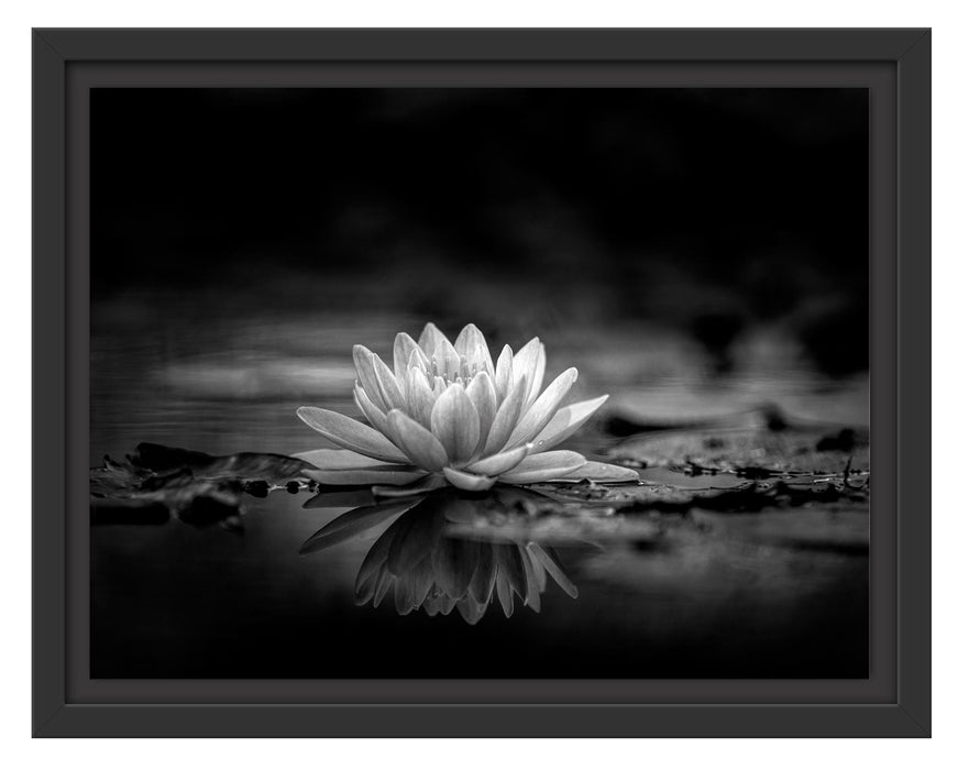 Pixxprint Leuchtende Lotusblüte auf grauer Pfütze, Monochrome, im Schwebe-Effekt Bilderrahmen