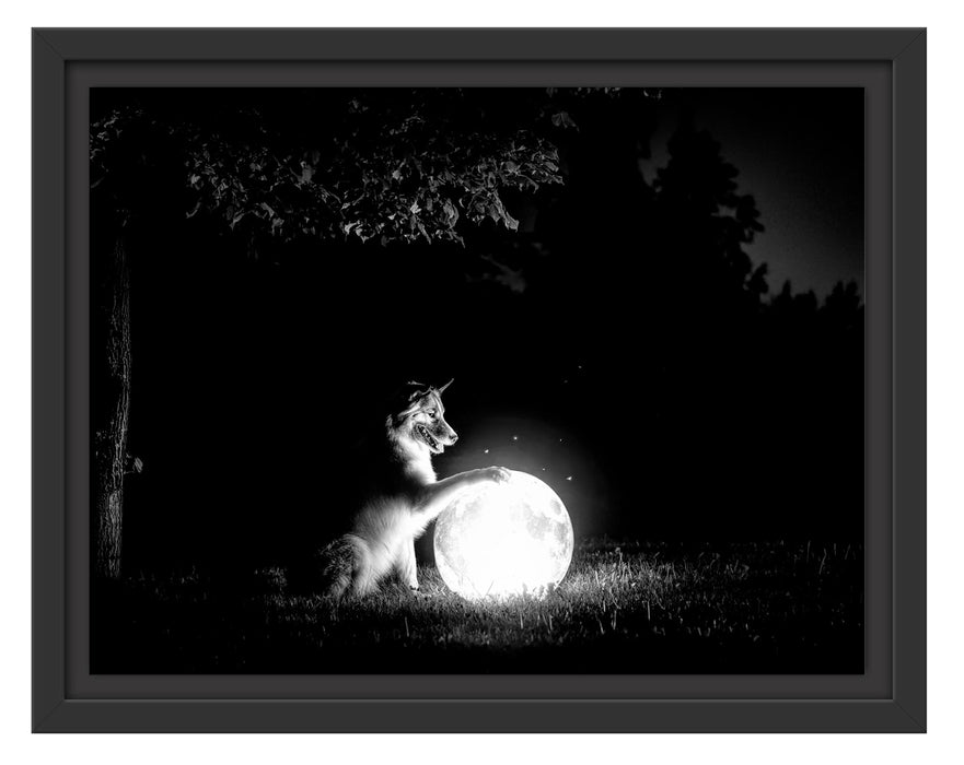 Pixxprint Hund mit leuchtendem Mond bei Nacht, Monochrome, im Schwebe-Effekt Bilderrahmen