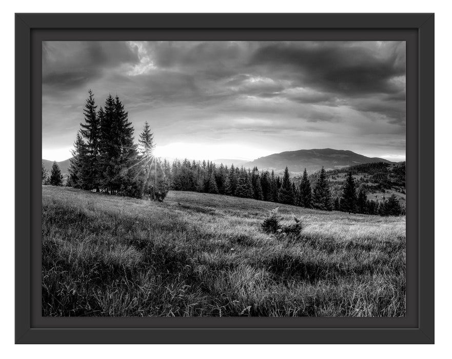 Pixxprint Wiesenlandschaft bei Sonnenuntergang, Monochrome, im Schwebe-Effekt Bilderrahmen