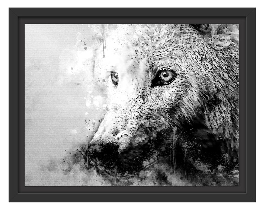 Pixxprint Dreckiger Wolf Nahaufnahme, Monochrome, im Schwebe-Effekt Bilderrahmen