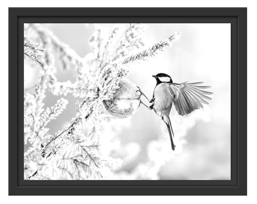 Pixxprint Kohlmeise an goldener Kugel in Winterwald, Monochrome, im Schwebe-Effekt Bilderrahmen