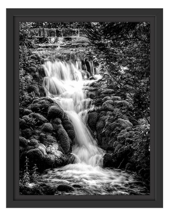 Pixxprint Wasserfall im grünen Wald, Monochrome, im Schwebe-Effekt Bilderrahmen