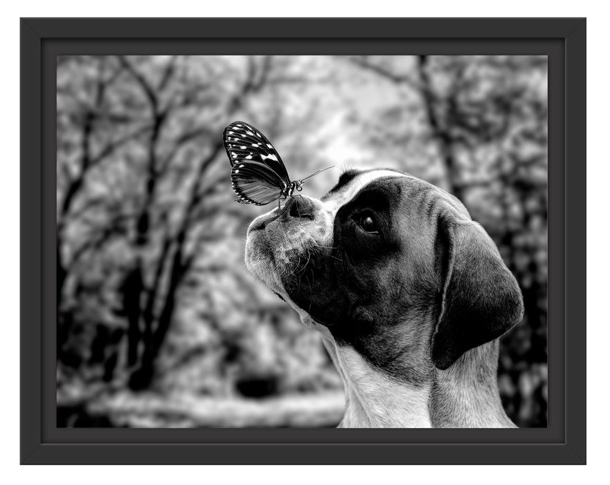 Pixxprint Welpe mit Schmetterling auf der Nase, Monochrome, im Schwebe-Effekt Bilderrahmen