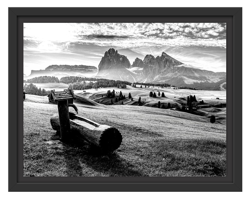 Pixxprint Wassertrog auf Wiese in den Dolomiten, Monochrome, im Schwebe-Effekt Bilderrahmen