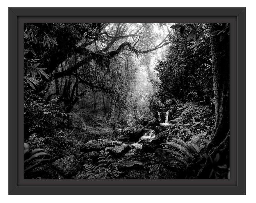 Pixxprint Kleinder Wasserfall im Dschungel, Monochrome, im Schwebe-Effekt Bilderrahmen