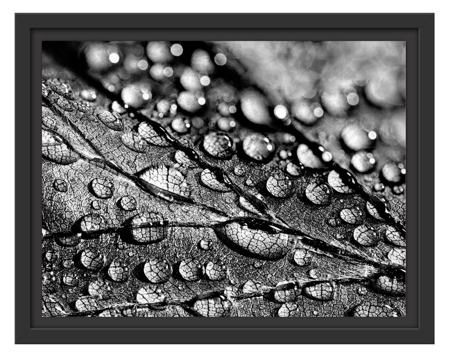 Pixxprint Nahaufnahme Wassertropfen auf Blatt, Monochrome, im Schwebe-Effekt Bilderrahmen