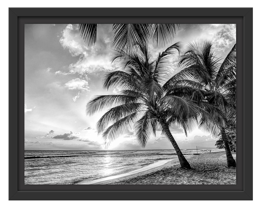 Pixxprint Palmen im Sonnenuntergang auf Barbados, Monochrome, im Schwebe-Effekt Bilderrahmen