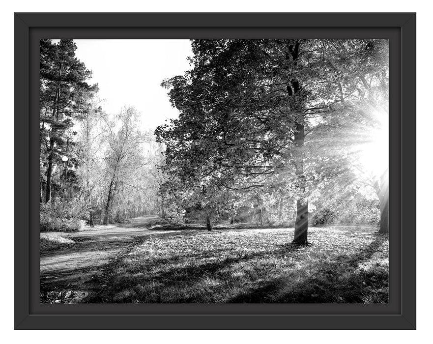 Pixxprint Weg durch bunten Herbstwald, Monochrome, im Schwebe-Effekt Bilderrahmen