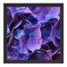 Blaue Hortensien Blüte Schattenfugenrahmen Quadratisch 40x40