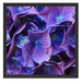 Blaue Hortensien Blüte Schattenfugenrahmen Quadratisch 55x55