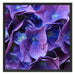 Blaue Hortensien Blüte Schattenfugenrahmen Quadratisch 70x70